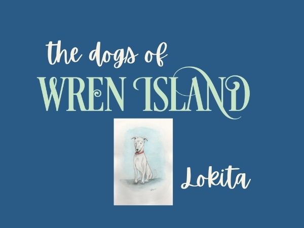 Featured image for “Getting to Know Lokita”