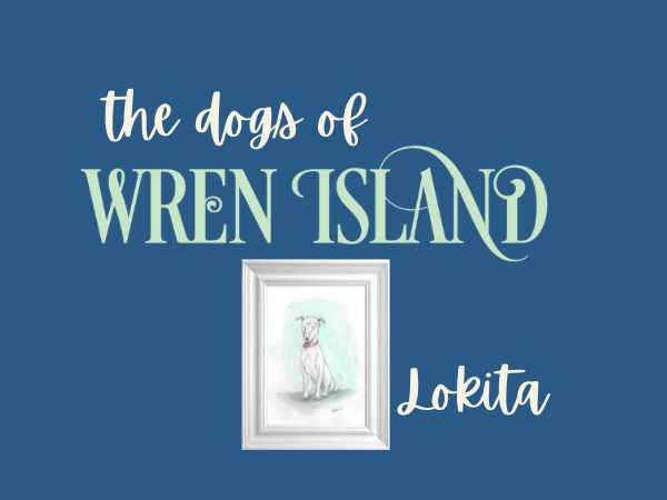 Featured image for “Getting to Know Lokita”